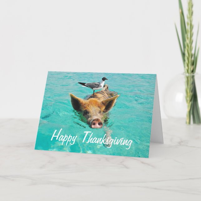 Happy Thanksgiving Swimming Pig Holiday Card (Front)