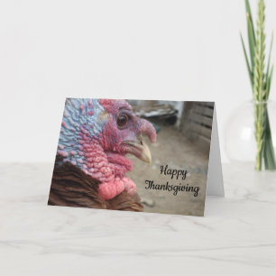 Happy Thanksgiving, Thanks for being Vegan Holiday Card