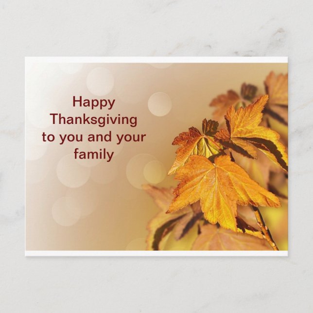 Happy Thanksgiving to you and your family Postcard (Front)