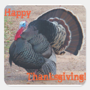 Happy Thanksgiving Turkey Photo Sticker