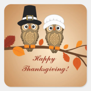 happy thanksgiving two cute owls square sticker
