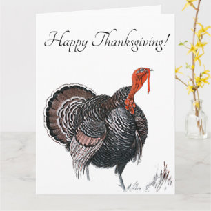 Happy Thanksgiving Vintage Turkey Drawing Card