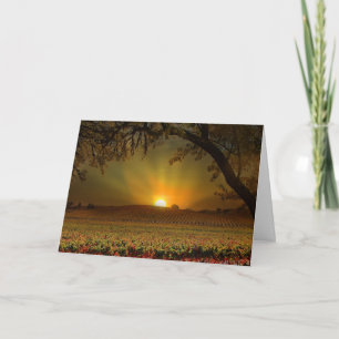 Happy Thanksgiving Wine Vineyard Card