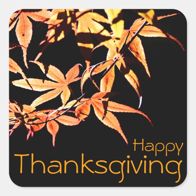 Happy Thanksgiving with Maples - Autumn colours Square Sticker (Front)