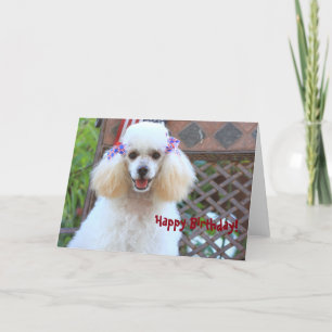 Happy Toy Poodle Dog greeting card