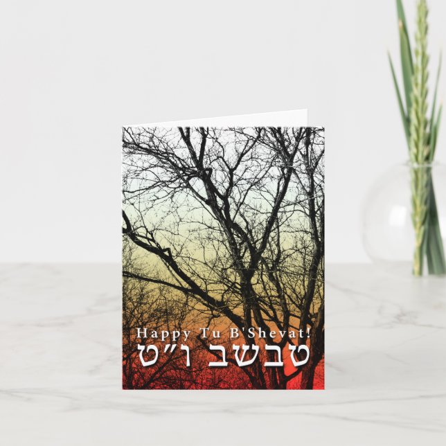 Happy Tu B’Shevat! Jewish Arbor Day Card (Front)