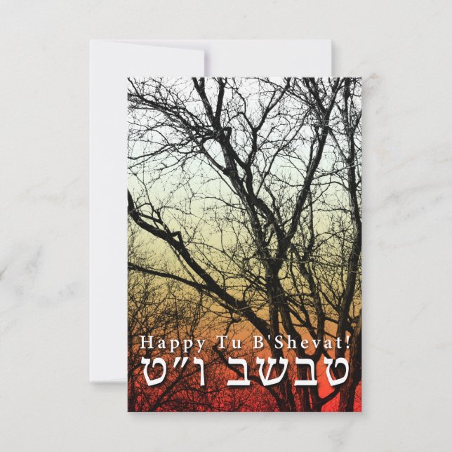 Happy Tu B’Shevat! : Jewish Arbor Day Invitation (Front)