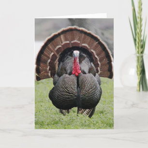 Happy Turkey Day! Holiday Card