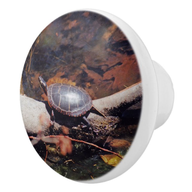 Happy Turtle Ceramic Knob (Right)