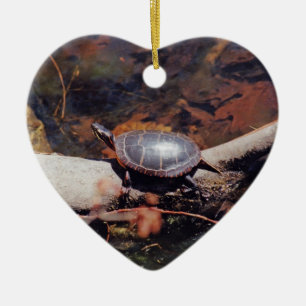 Happy Turtle Ceramic Tree Decoration