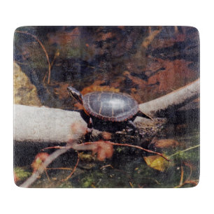 Happy Turtle Cutting Board