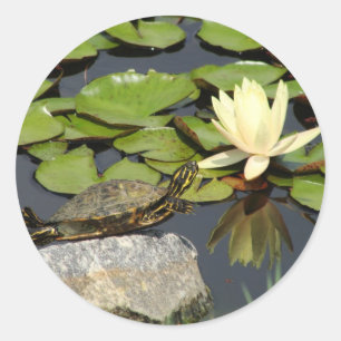 Happy Turtle in a Lily Pond Classic Round Sticker