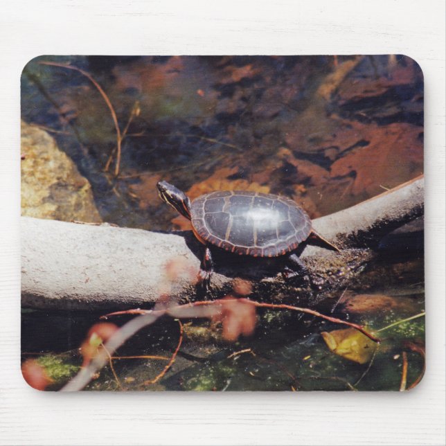 Happy Turtle Mouse Mat (Front)