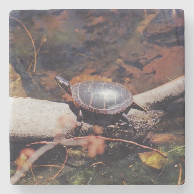 Happy Turtle Stone Coaster (Front)