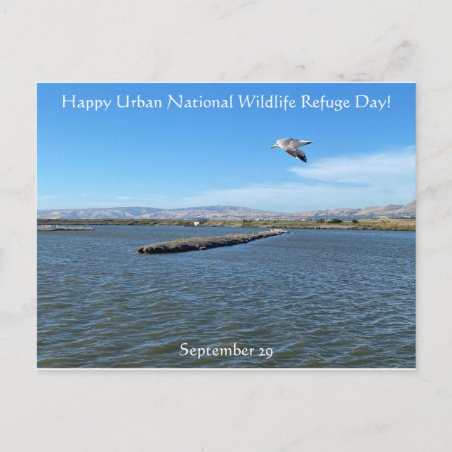 Happy Urban National Wildlife Refuge Day! Postcard (Front)
