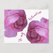 Happy Valentine love pretty pink roses floral fun 