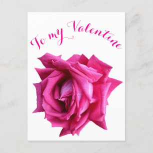 Happy Valentine pretty hot pink rose floral classy Postcard