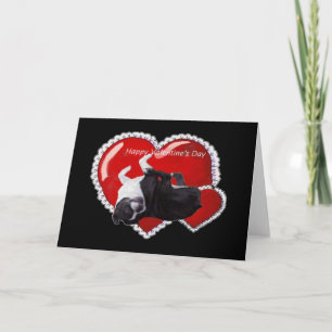 Happy Valentines Boston Holiday Card