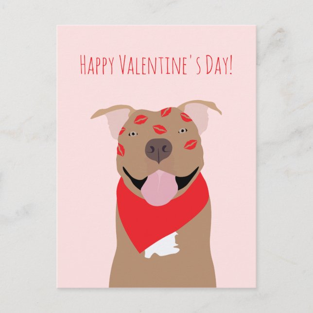 Happy Valentines Day American Bulldog Kiss Marks Postcard (Front)