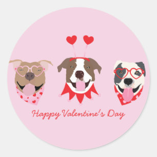 Happy Valentines Day American Pit Bull Terriers Classic Round Sticker