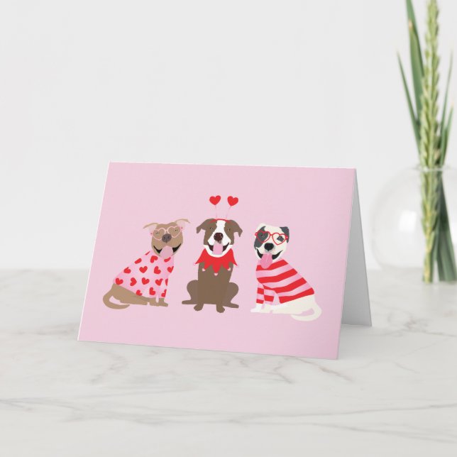 Happy Valentines Day American Pit Bull Terriers Holiday Card (Front)