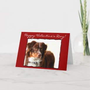 Happy Valentine's Day Australian Shepherd card