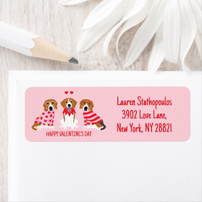 Happy Valentines Day Beagle Dogs (Insitu)