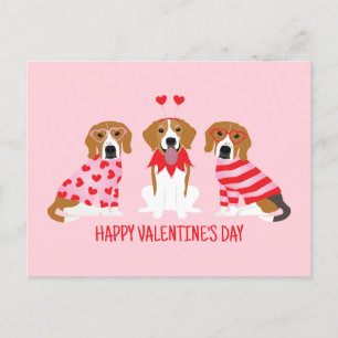 Happy Valentines Day Beagle Dogs Postcard