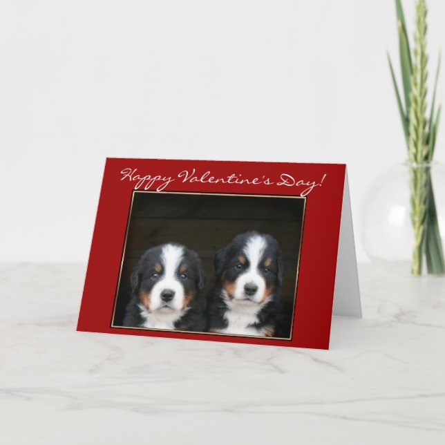 Happy Valentine's Day Bernese Mountain Dog card (Front)