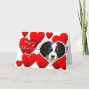 Happy Valentine's Day Bernese Mountain Dog card