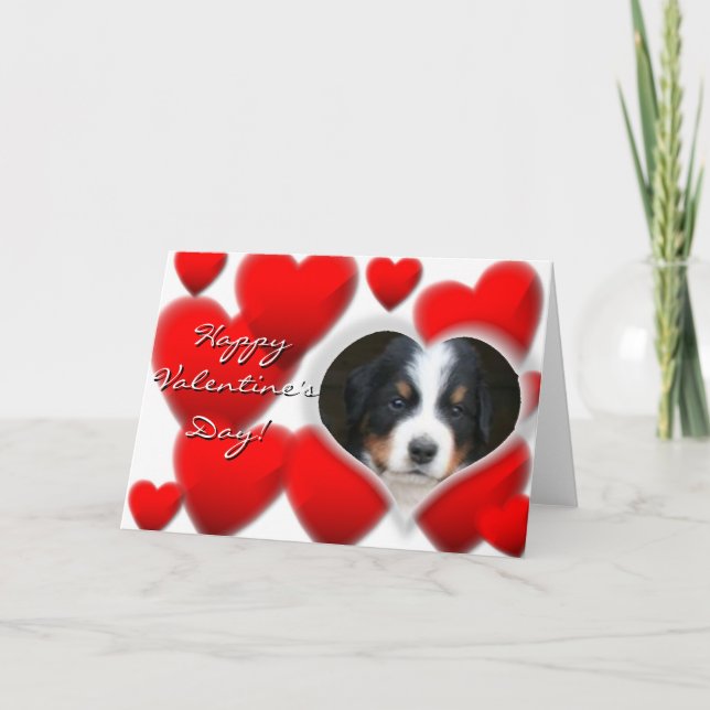 Happy Valentine's Day Bernese Mountain Dog card (Front)