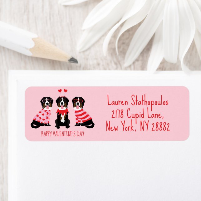 Happy Valentines Day Bernese Mountain Dogs (Insitu)