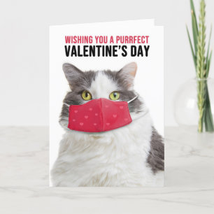 Happy Valentine's Day Big Cat in Face Mask Holiday Card