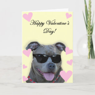 Happy Valentine's Day Blue pitbull with glasses Holiday Card