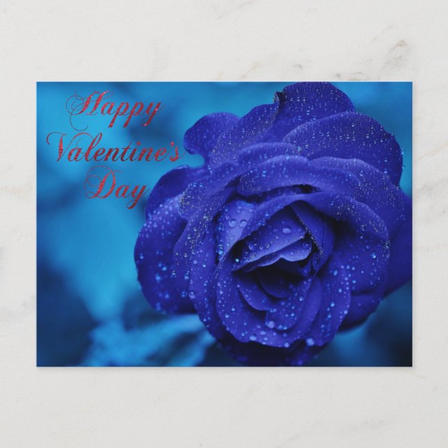 Happy Valentine's Day blue rose gift Postcard (Front)