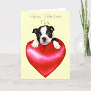 Happy Valentine's Day Boston Terrier Card