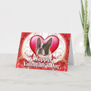 Happy Valentines Day Boston Terrier Holiday Card