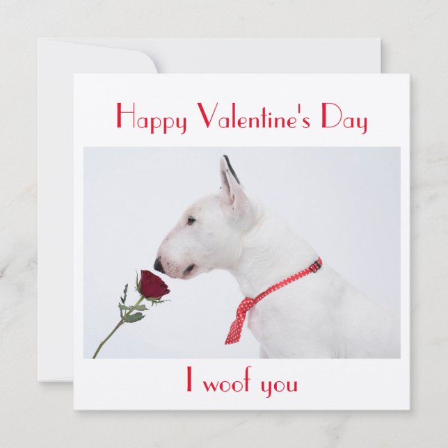 Happy Valentine's Day Bull Terrier with a Rose Card (Front)