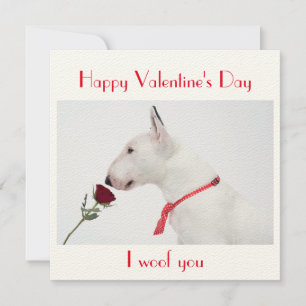 Happy Valentine's Day Bull Terrier with a Rose Card