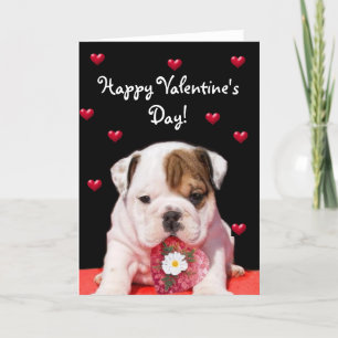 Happy Valentine's Day Bulldog greeting card