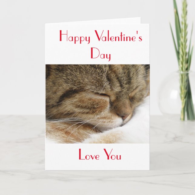 Happy Valentine's Day Cat Card (Front)