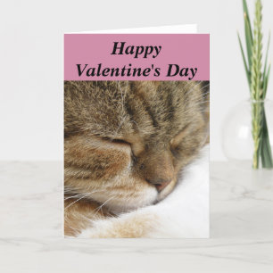 Happy Valentine's Day Cat Card