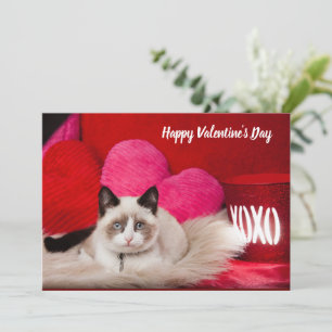 Happy Valentine's Day cat flat card