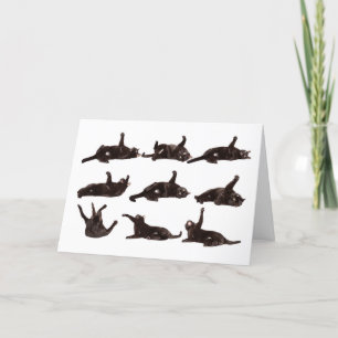 Happy Valentine's Day Cat on Catnip Rolling Humour Holiday Card