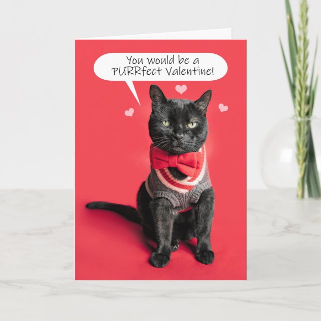 Happy Valentine's Day Cute Cat Dressed Up Humour Holiday Card (Front)