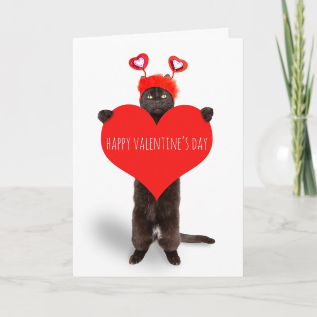 Happy Valentine's Day Cute Cat Holding Heart Humou Holiday Card (Front)