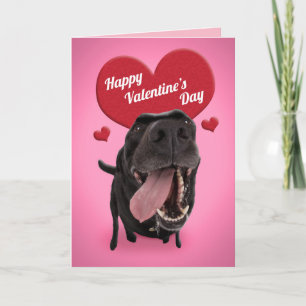 Happy Valentine's Day Cute Dog Humour Holiday Card