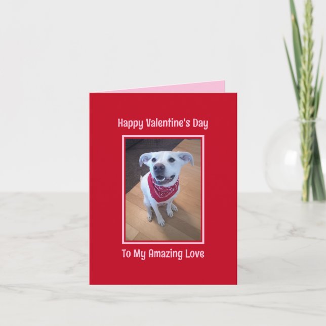 Happy Valentine's Day Cute Dog Smiling Red Holiday Card (Front)