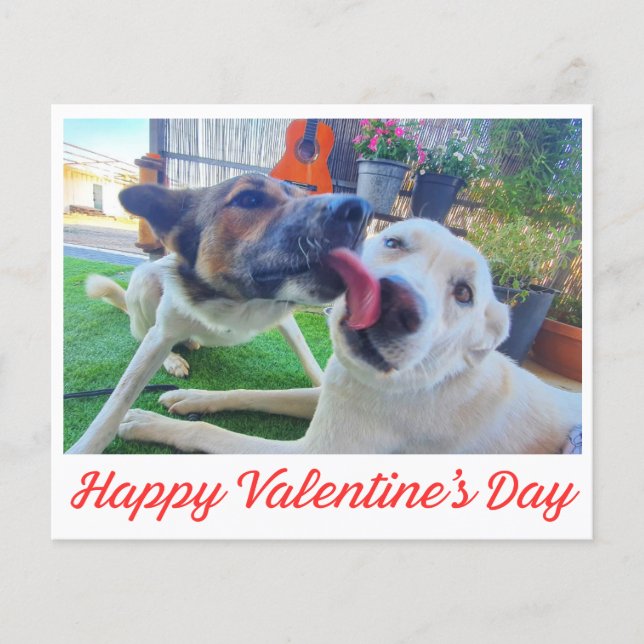 Happy Valentines Day cute dogs photo holiday card (Front)