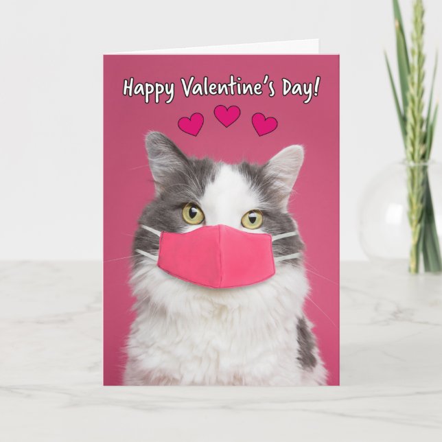 Happy Valentine's Day Cute Kitty Cat in Face Mask Holiday Card (Front)